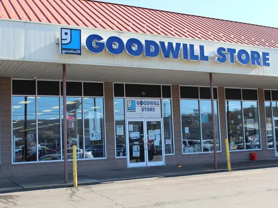 Goodwill