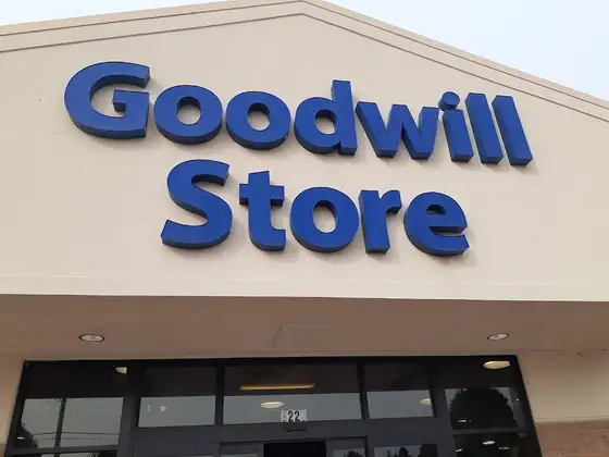 Goodwill