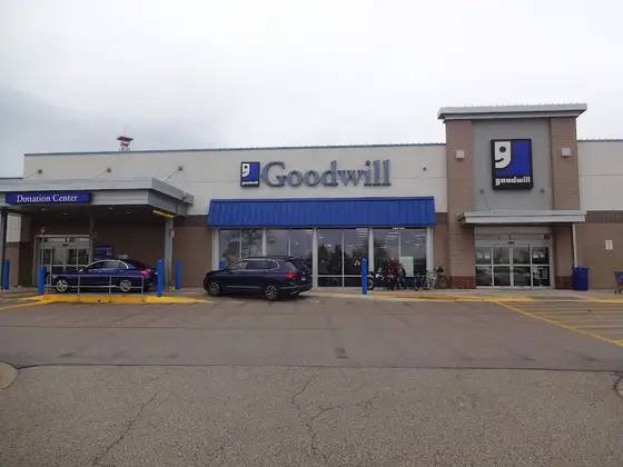 Goodwill