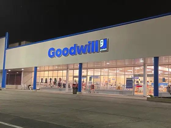 Goodwill
