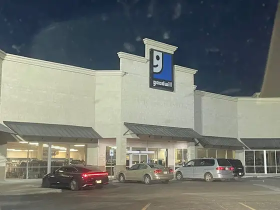 Goodwill