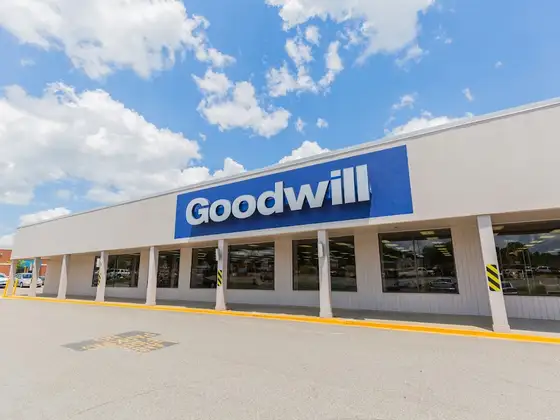 Goodwill