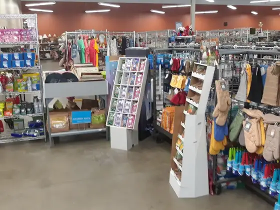 Goodwill