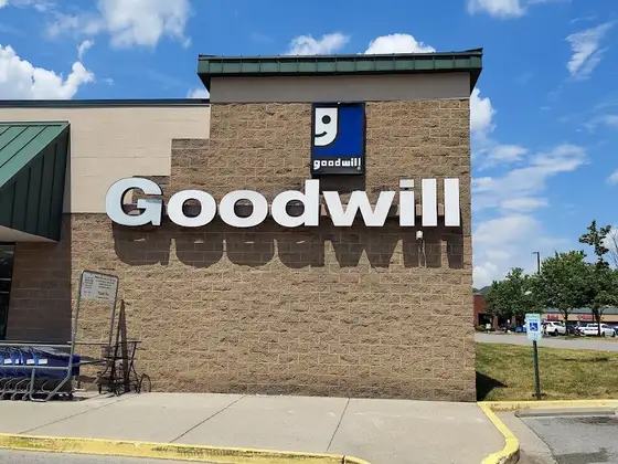Goodwill