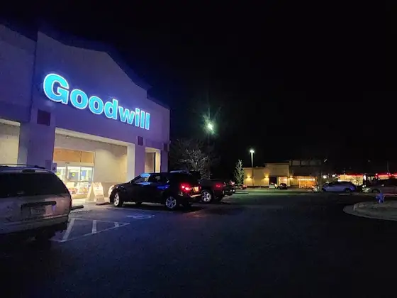 Goodwill