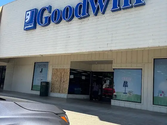 Goodwill