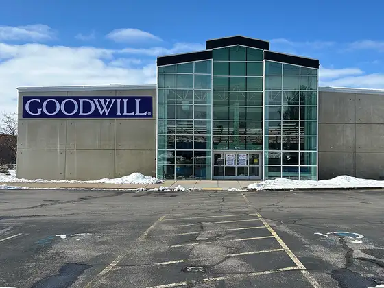 Goodwill