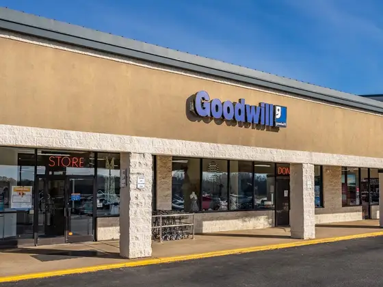Goodwill