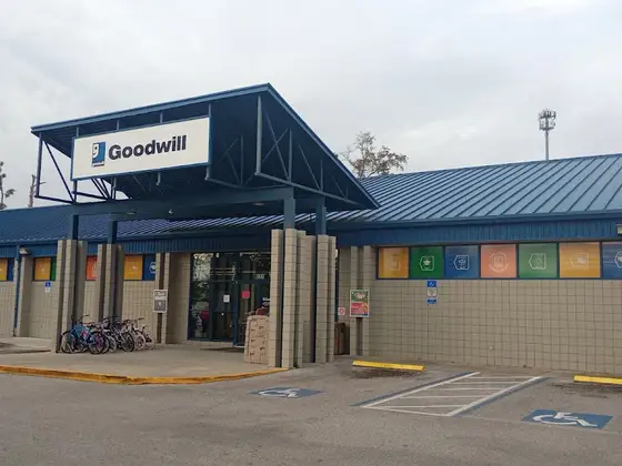 Goodwill