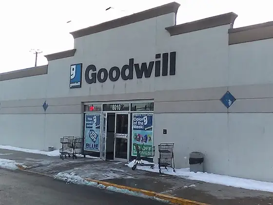 Goodwill