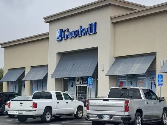 Goodwill