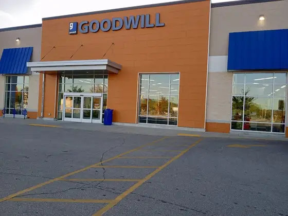 Goodwill