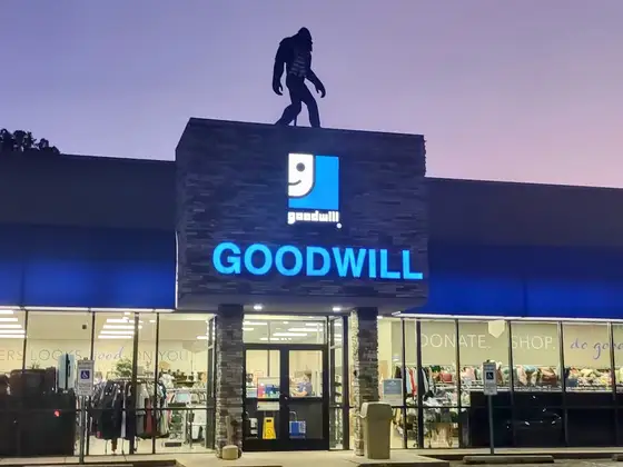 Goodwill