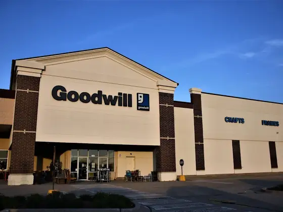 Goodwill