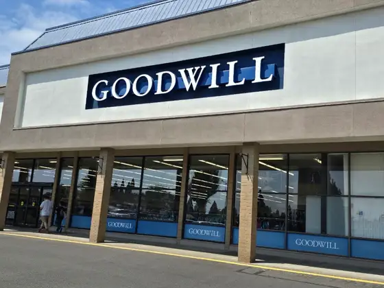 Goodwill