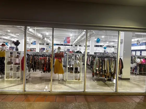 Goodwill
