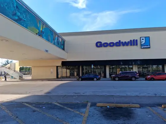 Goodwill