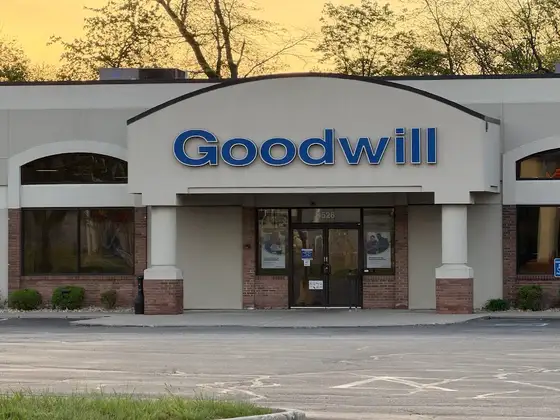 Goodwill
