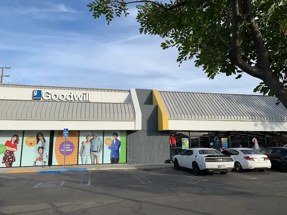 Goodwill