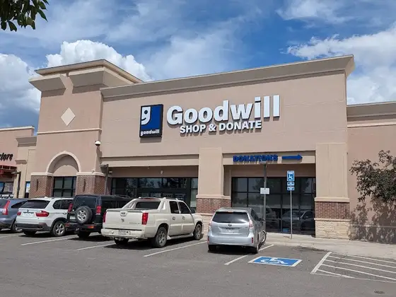Goodwill