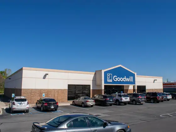 Goodwill
