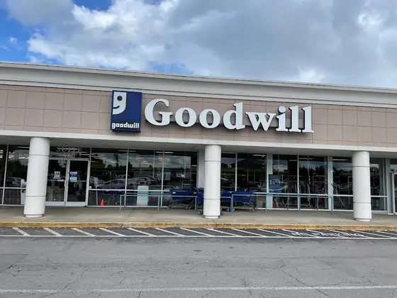 Goodwill