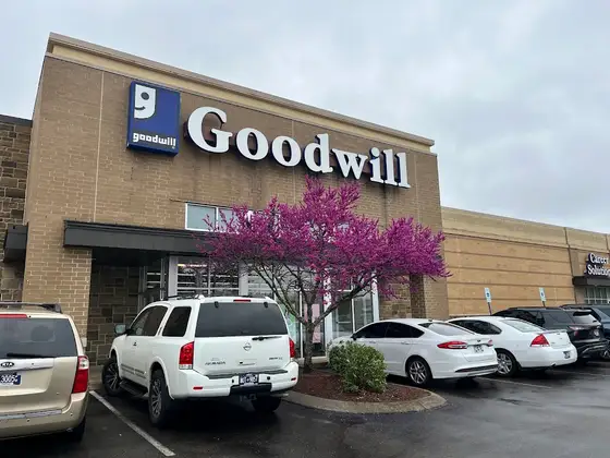 Goodwill