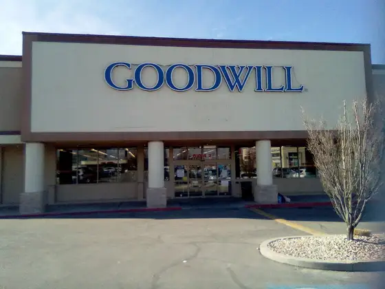 Goodwill