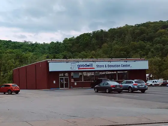 Goodwill