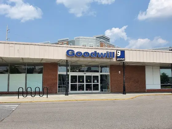 Goodwill