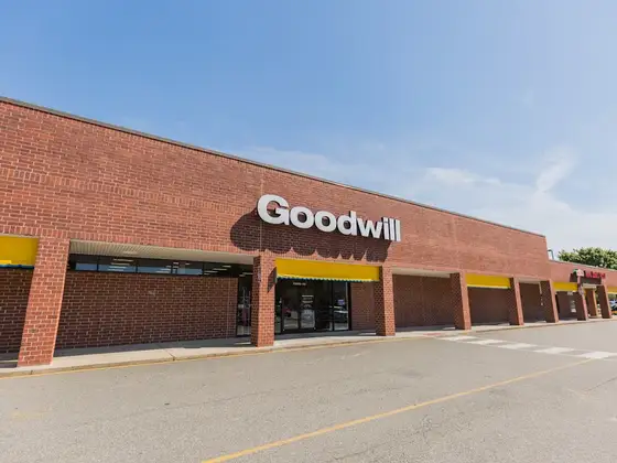 Goodwill