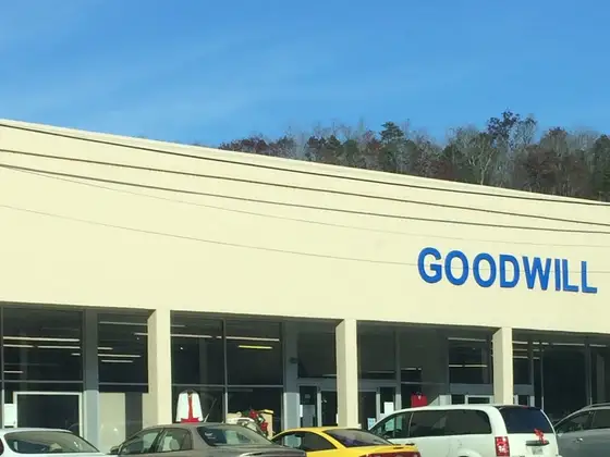 Goodwill
