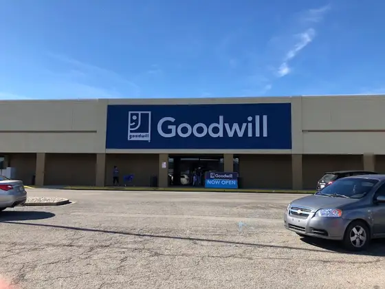 Goodwill