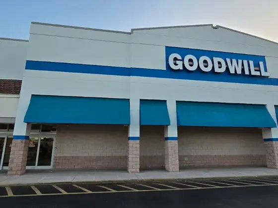 Goodwill