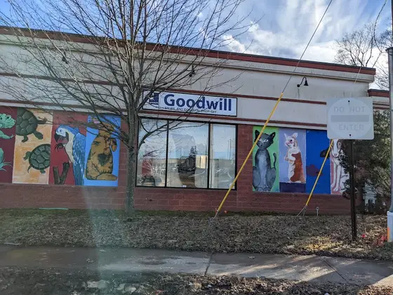 Goodwill