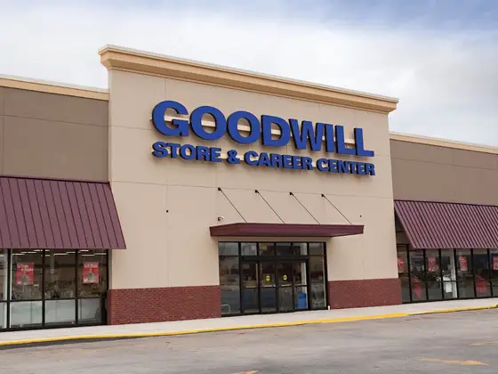 Goodwill