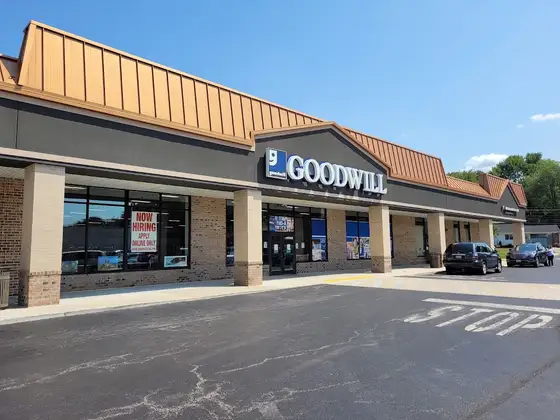 Goodwill