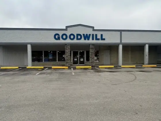 Goodwill