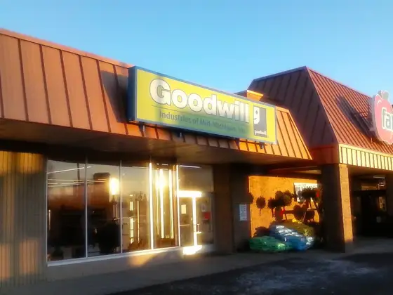 Goodwill