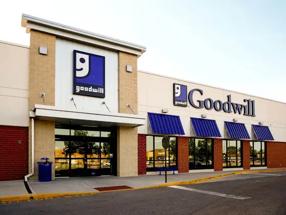 Goodwill