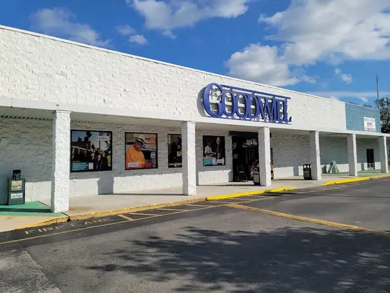 Goodwill