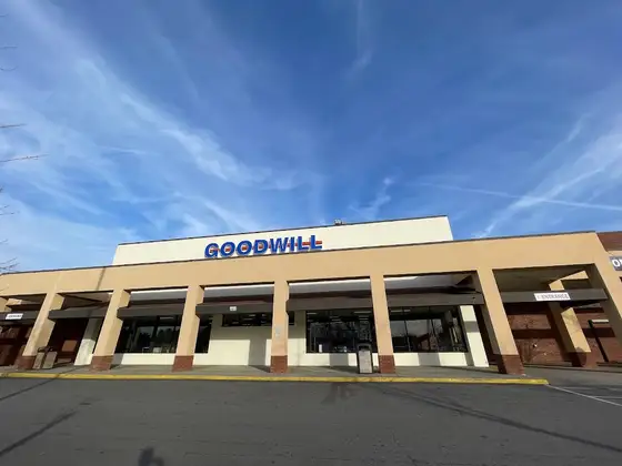 Goodwill
