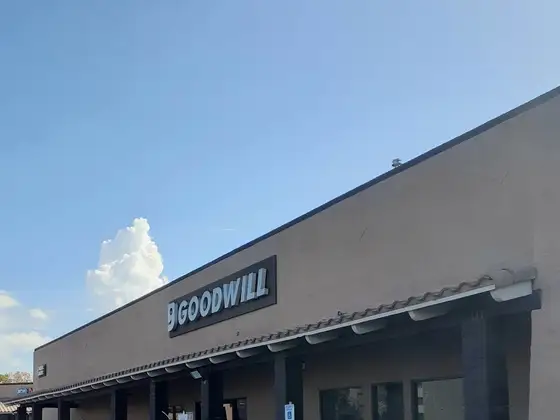 Goodwill