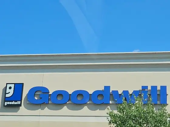 Goodwill