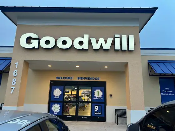 Goodwill