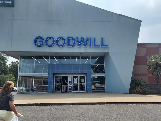 Goodwill