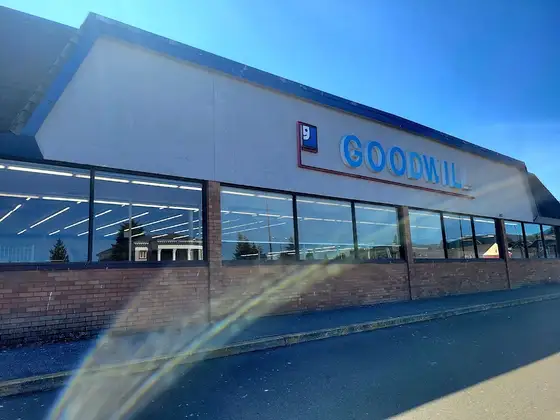 Goodwill