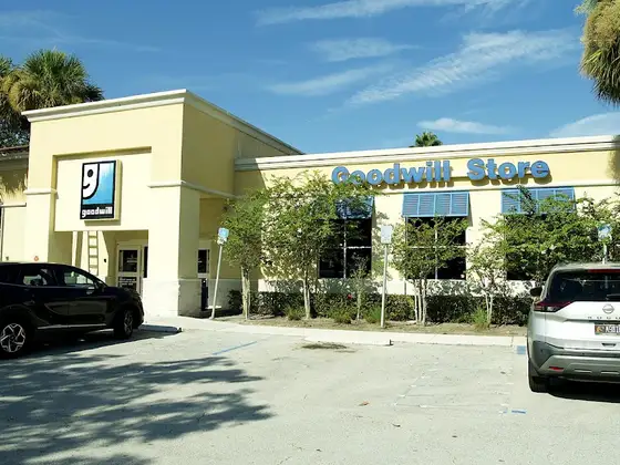 Goodwill