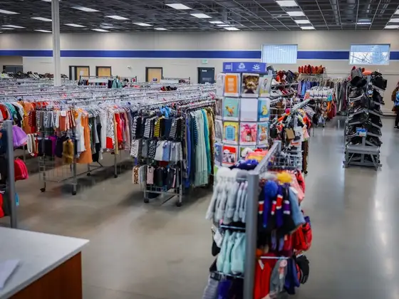 Goodwill