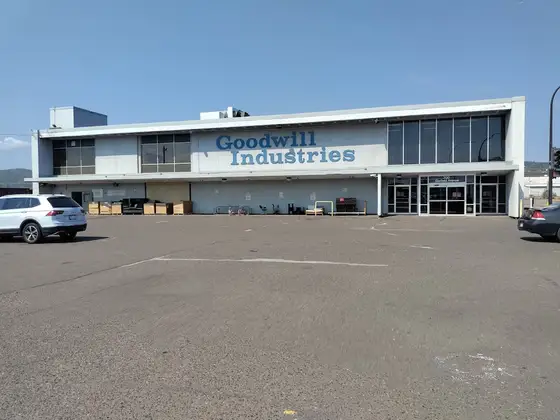Goodwill